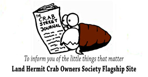 crabstreetjournal-littlethings_rect
