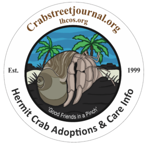 Hermit Crab Adoption Program