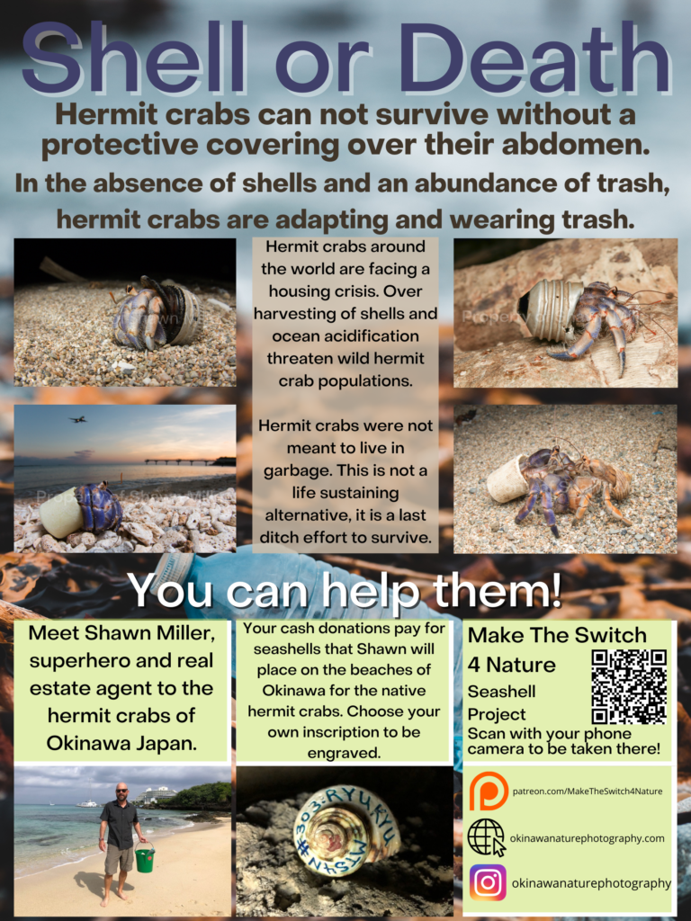 Poster collage depicting land hermit crabs wearing pieces of garbage instead of shells.