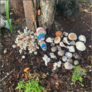 A variety of seashells placed around a tree trunk